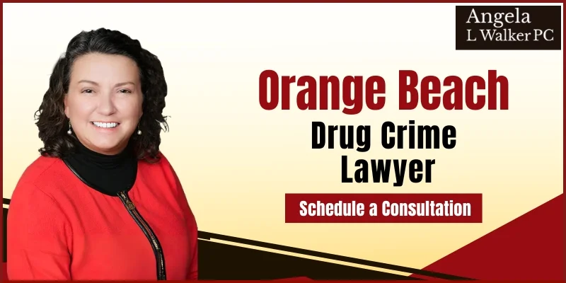 best drug crime lawyer in orange beach